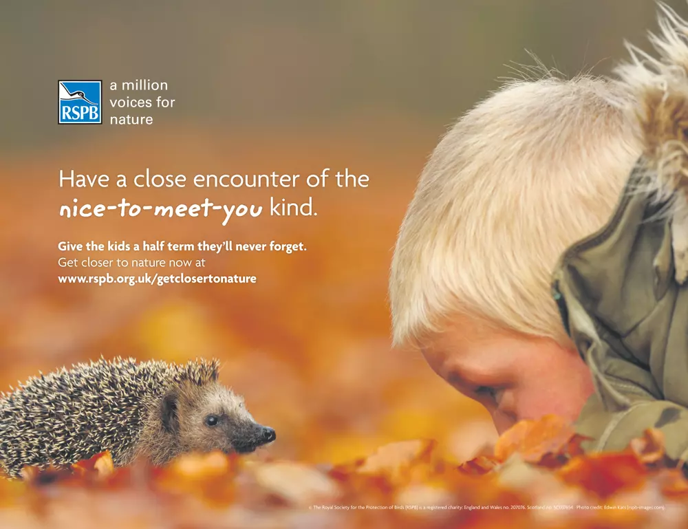 RSPB-October-Halfterm-Press-Ad